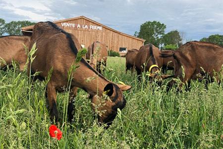 Gaec Dufour Les Merveilles de Marine